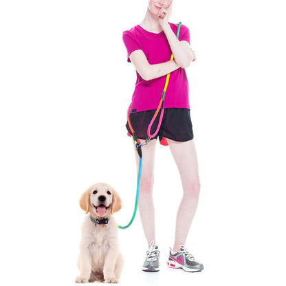 Nylon Hands-Free Dog Leash – Durable Traction Rope for Running with Small & Large Dogs