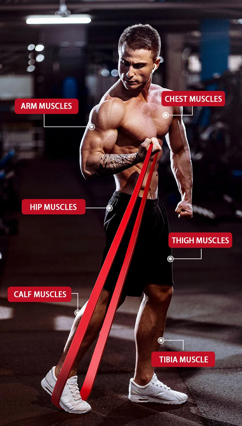 Resistance Bands Set for Strength Training & Full-Body Workout – Unisex Home Gym Equipment